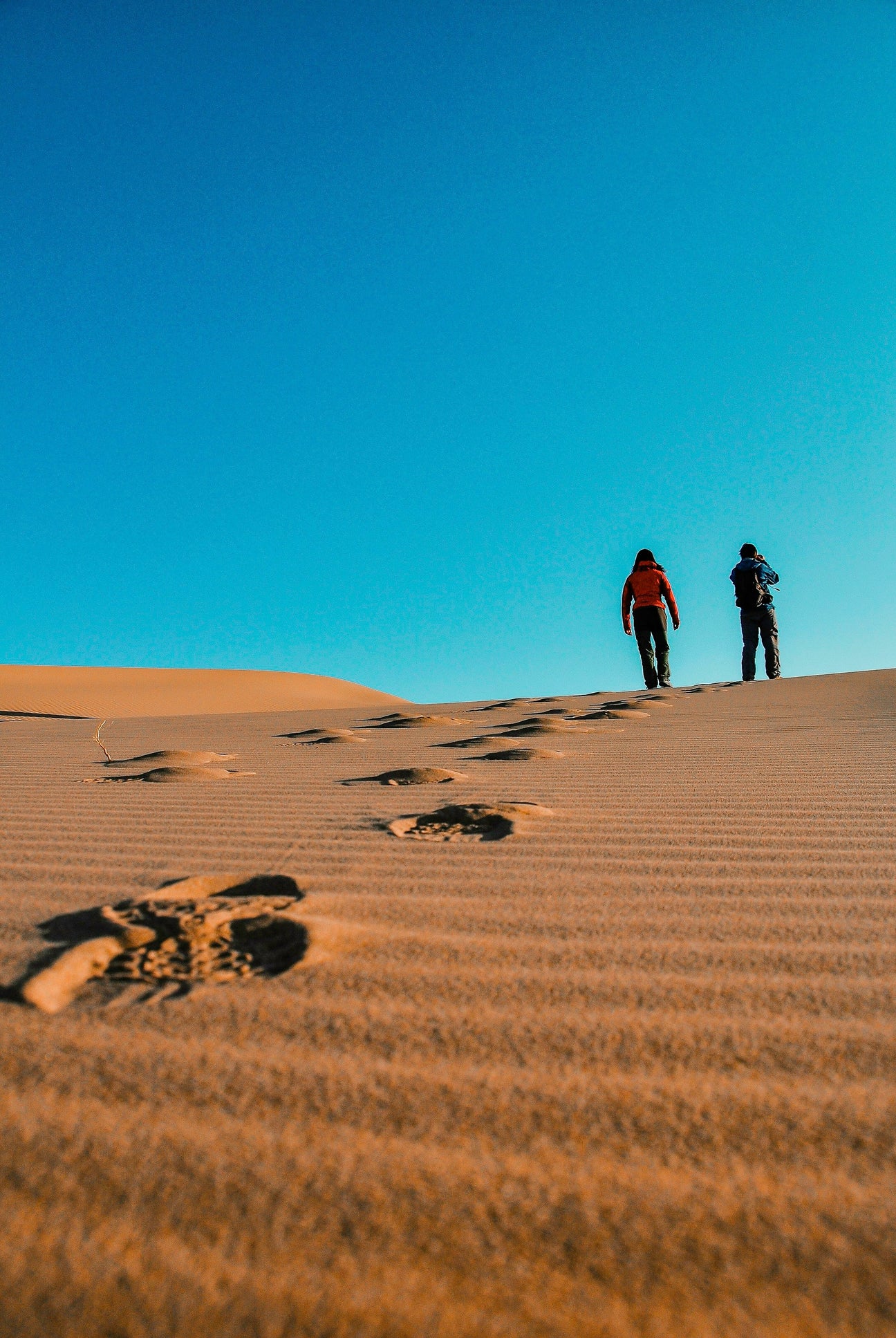 A traveller crosses the dunes