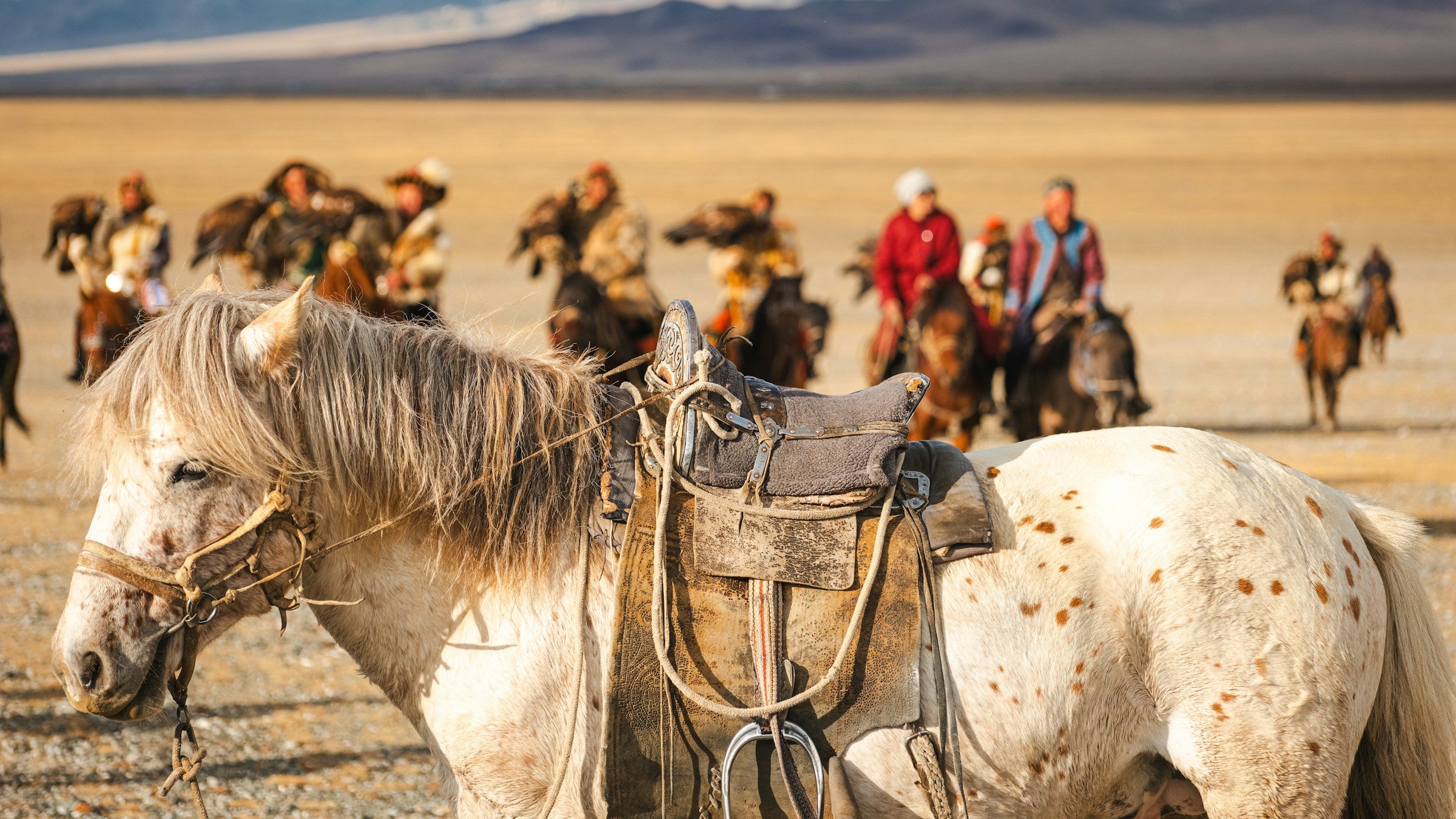 Riders traverse the steppe