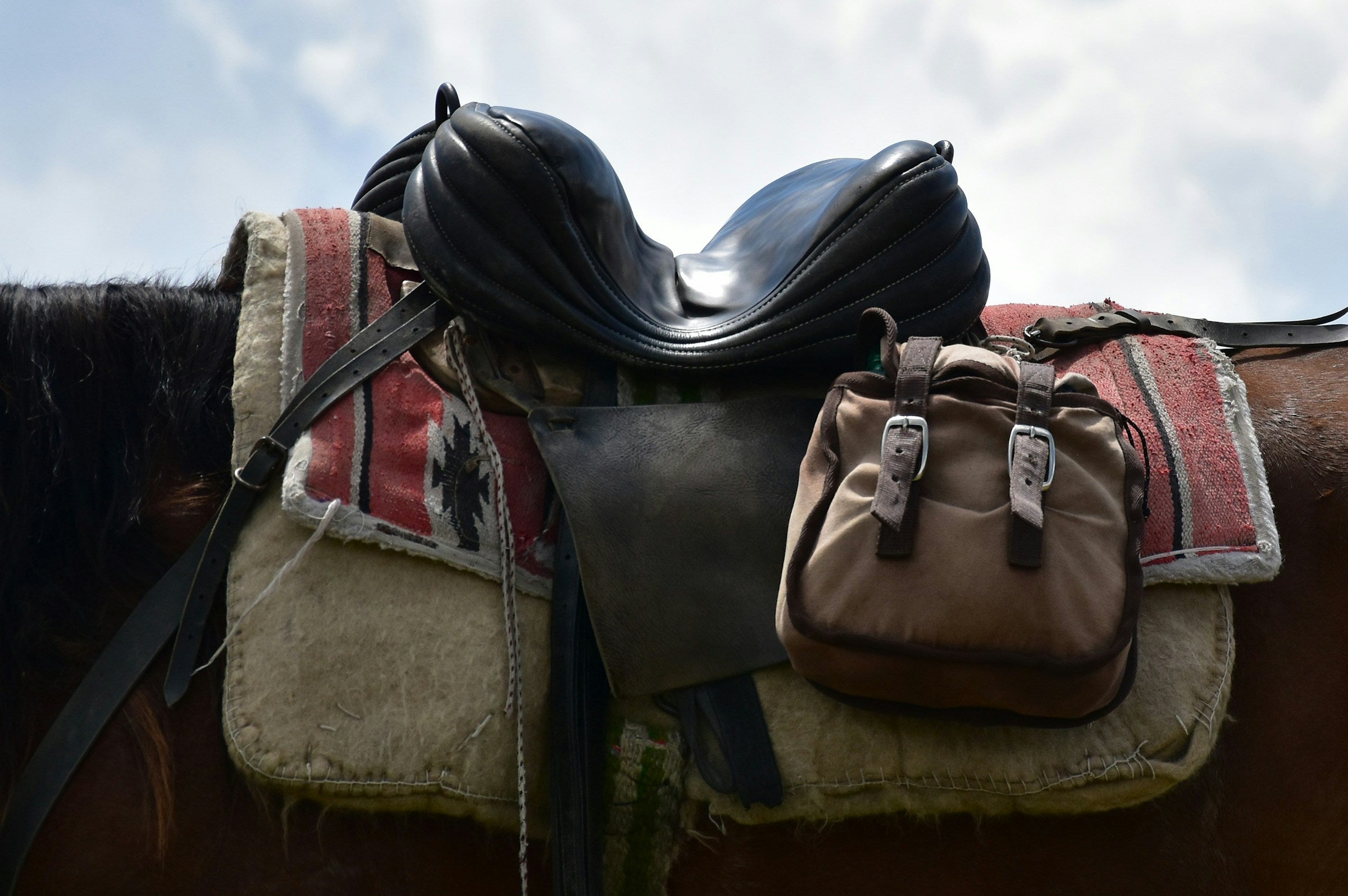 Leather horse saddle, detail