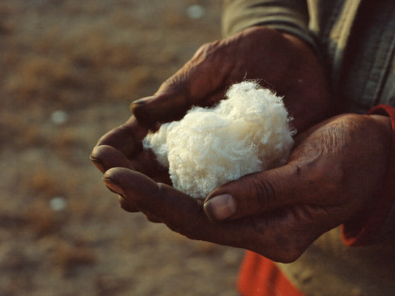 Raw combed cashmere fibre in a herder's hands