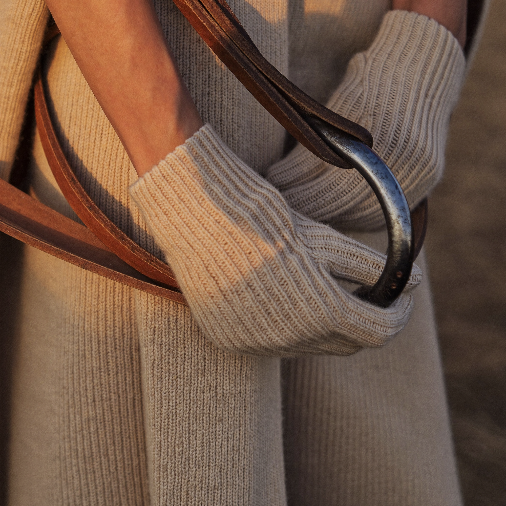Rider's Gloves on the reins
